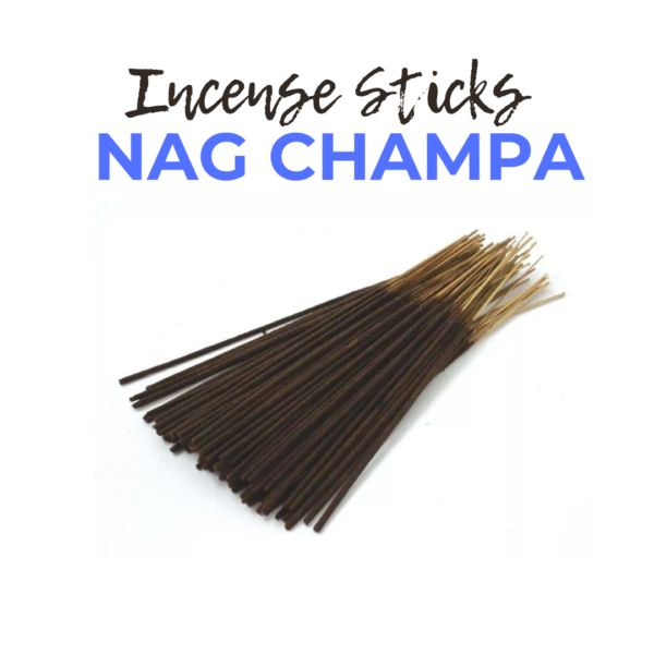 Cocoa Cherie Nag Champa Incense Sticks 20ct