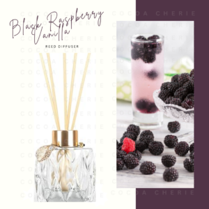 Black Raspberry Vanilla Reed Diffuser 4oz.