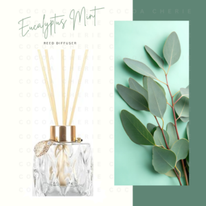Eucalyptus Mint Reed Diffuser 4oz.
